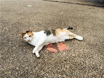 外媒评选2023年15款最佳的单机续作 《博德之门3》等